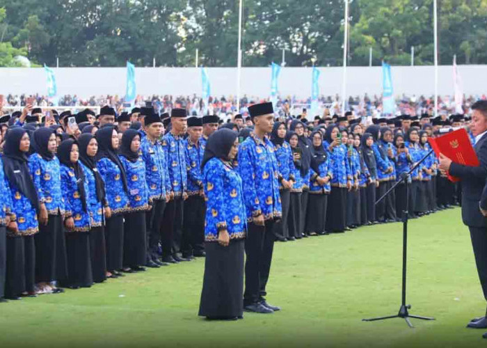 Jadi PPPK Paruh Waktu di Sumsel Tak Sama
