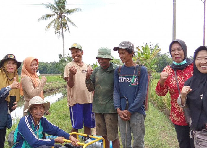 Antisipasi Kemarau Panjang Ini yang Dilakukan Dinas Pertanian Kota Lubuk Linggau