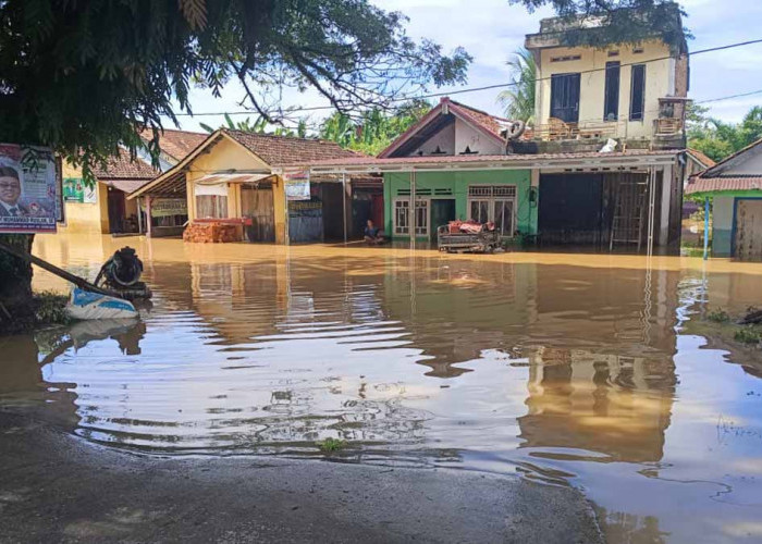 Kondisi banjir yang melanda salah satu kawasan di Desa Lawang Agung, di Kecamatan Rupit, Kabupaten Musi Rawas Utara, Sumatera Selatan, Sabtu, 13 Januari 2024, pukul 10.27 WIB. 