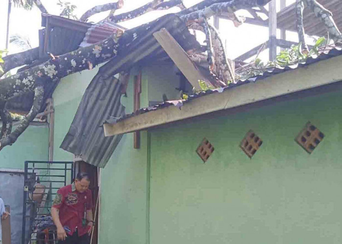 20 Rumah dan 1 Masjid di 2 Kecamatan di Lubuk Linggau Hancur Kena Puting Beliung