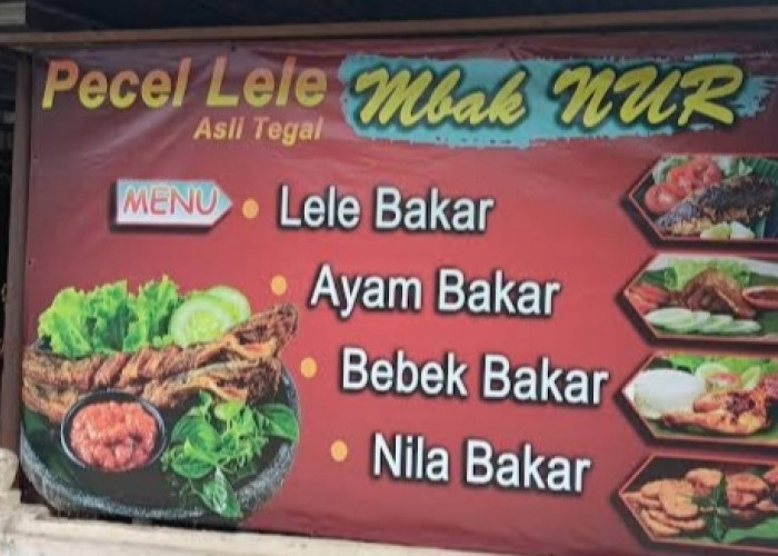 Keunikan Pecel Lele Asli Tegal Mbak Nur: Kuliner Khas dengan Rasa yang Tak Terlupakan di Lubuk Linggau