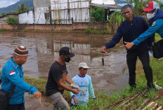 Gerdal Hama Tikus Upaya Dalam Menjaga Produksi Tanaman Padi Petani