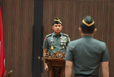 15 Kolonel TNI Pecah Bintang dalam Mutasi TNI 3 Januari 2025, Ini Daftar Nama-namanya