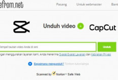 Savefrom CapCut, Solusi Mudah Download Video CapCut Tanpa Watermark dan Ubah ke MP3