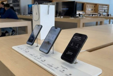 Daftar Harga iPhone 11 Sampai 17 Januari 2026 di iBox