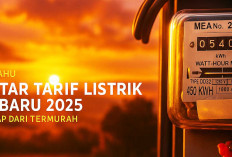 Segini Tarif Listrik Agustus 2025 Semua Golongan, Ada Kenaikankah Saat ini? 