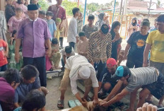 Idul Adha 1445 H, Pengurus Masjid Besar Baitul Amin Lubuklinggau Bagikan 400 Paket Daging Kurban