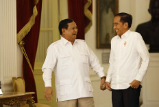 5 Daftar Nama Kabinet Era Jokowi Dikabarkan Lanjut di Kabinet Prabowo