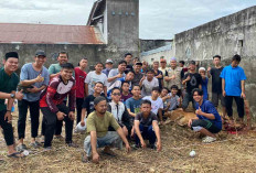Pengurus Masjid Barokah Margamulya Lubuk Linggau Sembelih 11 Sapi dan 6 Kambing Kurban