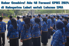 Kabar Gembira! Ada 48 Formasi CPNS 2024 di Kabupaten Lahat untuk Lulusan SMA