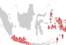 Cara Mudah Cek Area yang Mendukung Layanan Internet Rakyat
