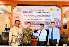 PLN Gandeng Kejari Empat Lawang untuk Perkuat Kepastian Hukum, Layanan Kelistrikan Ditargetkan Makin Andal