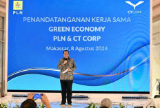 PLN dan CT Corp Jalin Kerjasama Kembangkan Energi Hijau Wujudkan Transisi Energi 