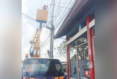 120 Pengaduan Layanan PJU di Dishub Lubuk Linggau, Rusak Segera Hubungi Nomor Ini