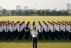 7 Sekolah Kedinasan Paling Diminati 2025, Siapa Paling Banyak Pendaftarnya