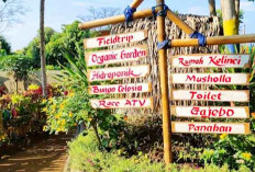 Liburan Lengkap di Umbul Helau Pesawaran, Spot Healing dengan Air Sebening Kaca