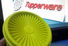 Ternyata ini Pemicu Bangkrutnya Tupperware, Emak-emak Lubuk Linggau Tunggu Diskonan