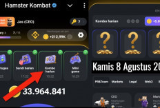 Sudah Keluar Combo Harian Hamster Kombat Hari Ini 8 Agustus 2024, Garap Hingga 5 Juta Koin Gratis