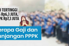 Honorer Lolos PPPK 2024 Terima Tunjangan dan Gaji Sesuai Masa Kerja, Segini Besarannya?