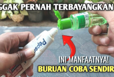 Bikin Penasaran, Ternyata Ini 10 Manfaat Campuran Odol Dan Minyak Kayu Putih