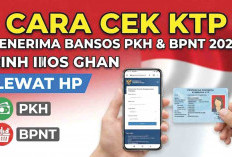 Update Desil Keluargamu Cukup Pakai KTP, Begini Caranya!