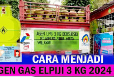 Mau Jadi Agen elpiji 3 Kg, Segini Banyaknya Uang yang Harus Disiapkan dan Persyaratan yang Disediakan