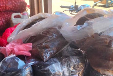 Harga Gula Merah Rp25.000 Per KG di Pasar Bukit Sulap, Pasokan dari Padang Stabil