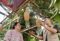 Kiat jadi Pedagang Sukses, Kelak Bisa Berkumpul dengan Para Nabi