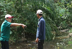 Siap-siap Agrowisata Kebon Kito Lubuk Linggau akan Melaksanakan Trail Run