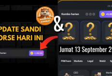 Sandi Harian dan Combo Harian Hamster Kombat Hari Ini Jumat 13 September 2024