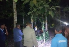 Roviko dan Suami Ja'al Dewantara Ditemukan Tewas di Kebun, Polisi Usut Tuntas Kasus ini