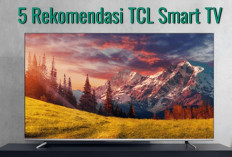 5 Rekomendasi TCL Smart TV Layar Besar, Harga Terjangkau Fitur Lengkap