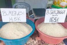 Dua Jenis Beras Jadi Favorit Warga, dari Pulen Harum hingga Putih Premium