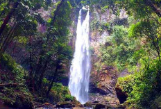Mukomuko Tawarkan Wisata Petualangan Alam Menuju Air Terjun, Ini Jadi Daya Tarik