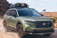 Honda CR-V 2026 Tampil Lebih Mewah, Kabin Super Lega Jadi Daya Tarik Utama