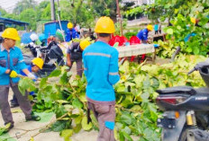 Sinergi Pemda Merangin dan PLN Bersihkan Kota Bangko, Jaga Lingkungan Sekaligus Keandalan Listrik