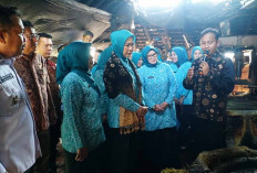 Nama Muba Makin Dikenal, Sukses Kelola Limbah Pohon Gambir jadi Pewarna Alami Kain Gambo