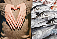 Jarang diketahui, Inilah 6 Jenis Ikan yang Aman di Konsumsi Ibu Hamil dan Baik untuk Janin 
