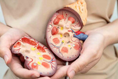 Cegah Gagal Ginjal Sejak Dini