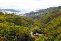 Taman Nasional Bukit Dua Belas Jambi Surga Tropis Bersama Suku Anak Dalam