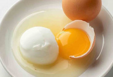 Putih Telur dan Kuning Telur, Mana yang Lebih Sehat ?