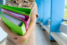 Rahasia Jadi PNS di Usia Muda! Sekolah Kedinasan Ini Bikin Kamu Langsung Diangkat Jadi CPNS