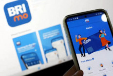 Sudah Daftar KUR BRI 2025 Belum? Yang Telat Bisa Nyesel Tahun Ini