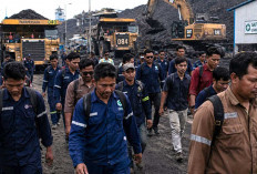Disnakertrans Muratara Minta Karyawan Perusahan Tambang Dirumahkan Melapor