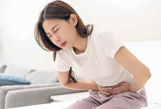 Entamoeba histolytica, Parasit Penyebab Infeksi Usus yang Perlu Diwaspadai