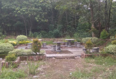 Kondisi Memprihatinkan, Taman di Kelurahan Perumnas Rahma Butuh Perbaikan