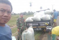 PPL Rutin Lakukan Sosialisasi Program Penyerapan Gabah ke Petani