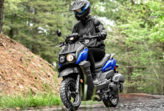 Skuter Adventure Yamaha Zuma 125 2026, Tangguh dan Siap Melibas Segala Medan