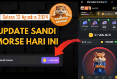 Baru Sandi Harian Hamster Kombat Hari Ini 13 Agustus 2024, Dapatkan hingga Jutaan Koin Gratis 