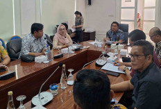 Kejari Muba Beri Deadline Pihak Penabrak Jembatan P6 Lalan